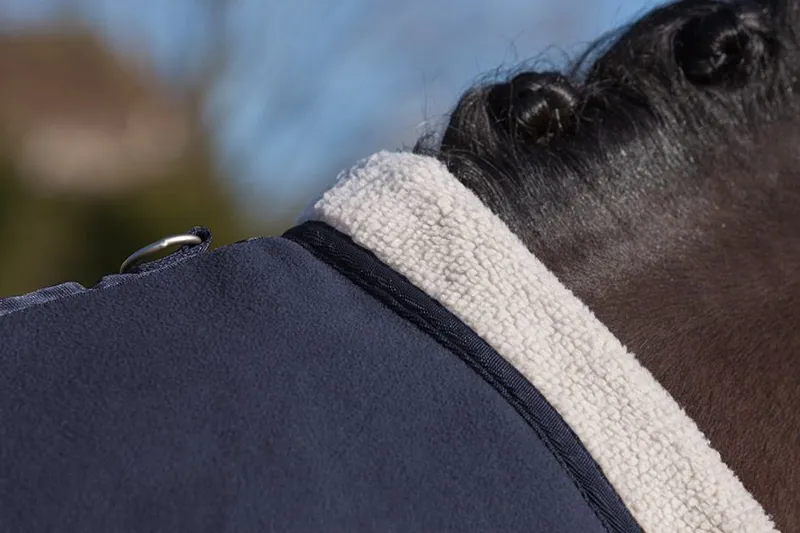 LeMieux Four Seasons Rug in Navy-1